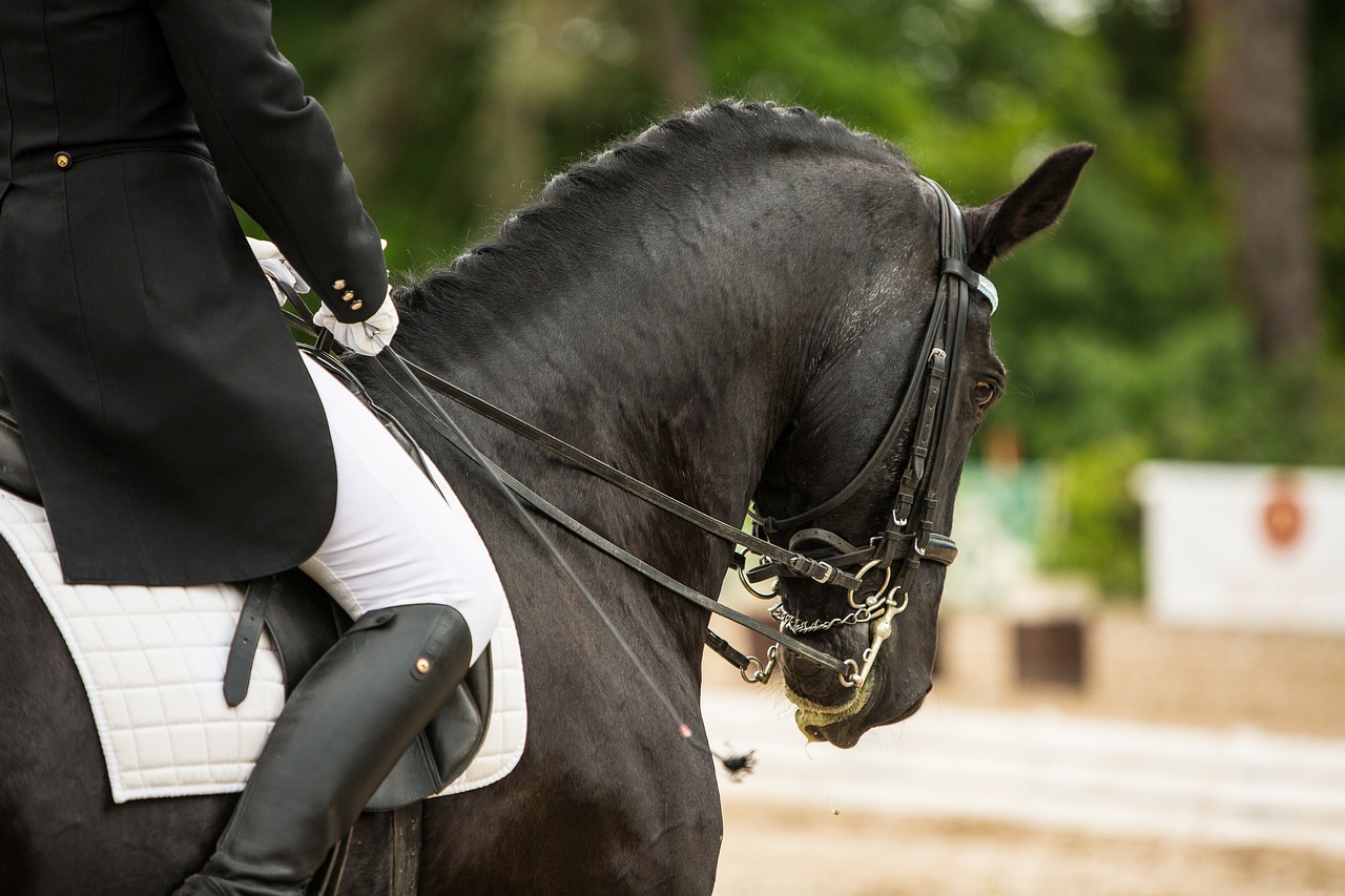 Rękawiczki jeździeckie – dlaczego są niezbędne dla każdego jeźdźca?