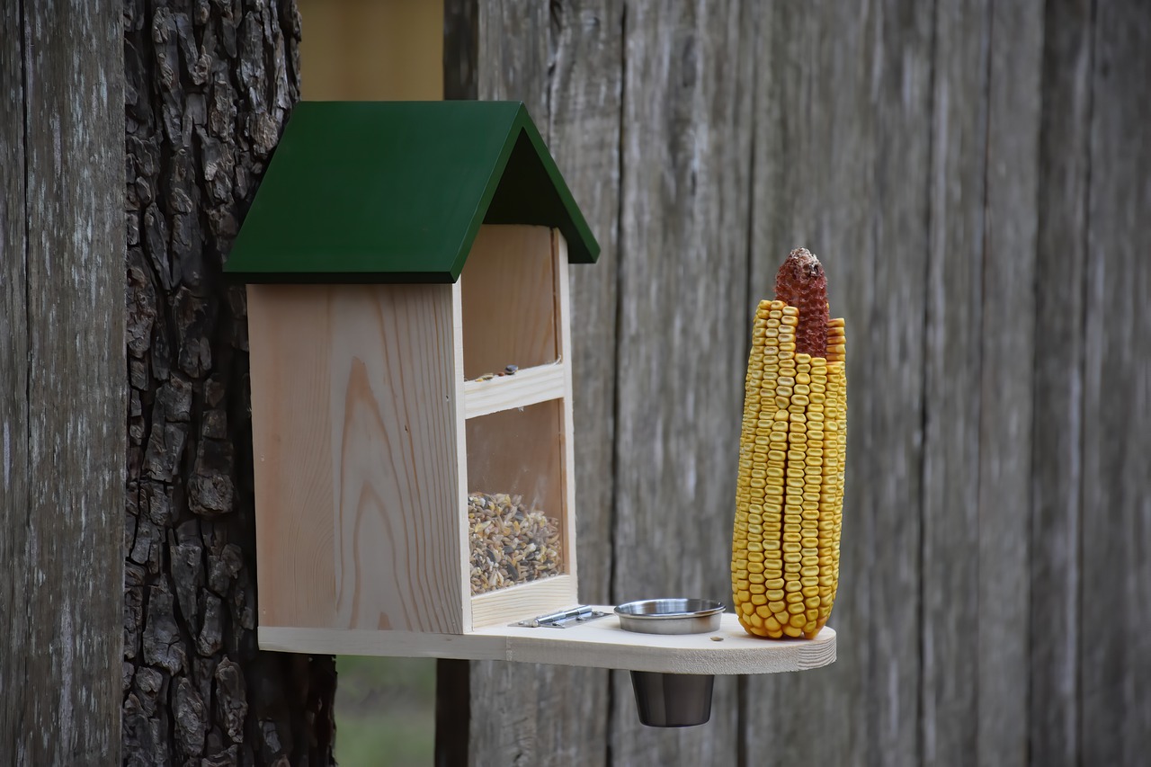 Karmniki dla ptaków – jak przyciągnąć piękne ptaki do Twojego ogrodu