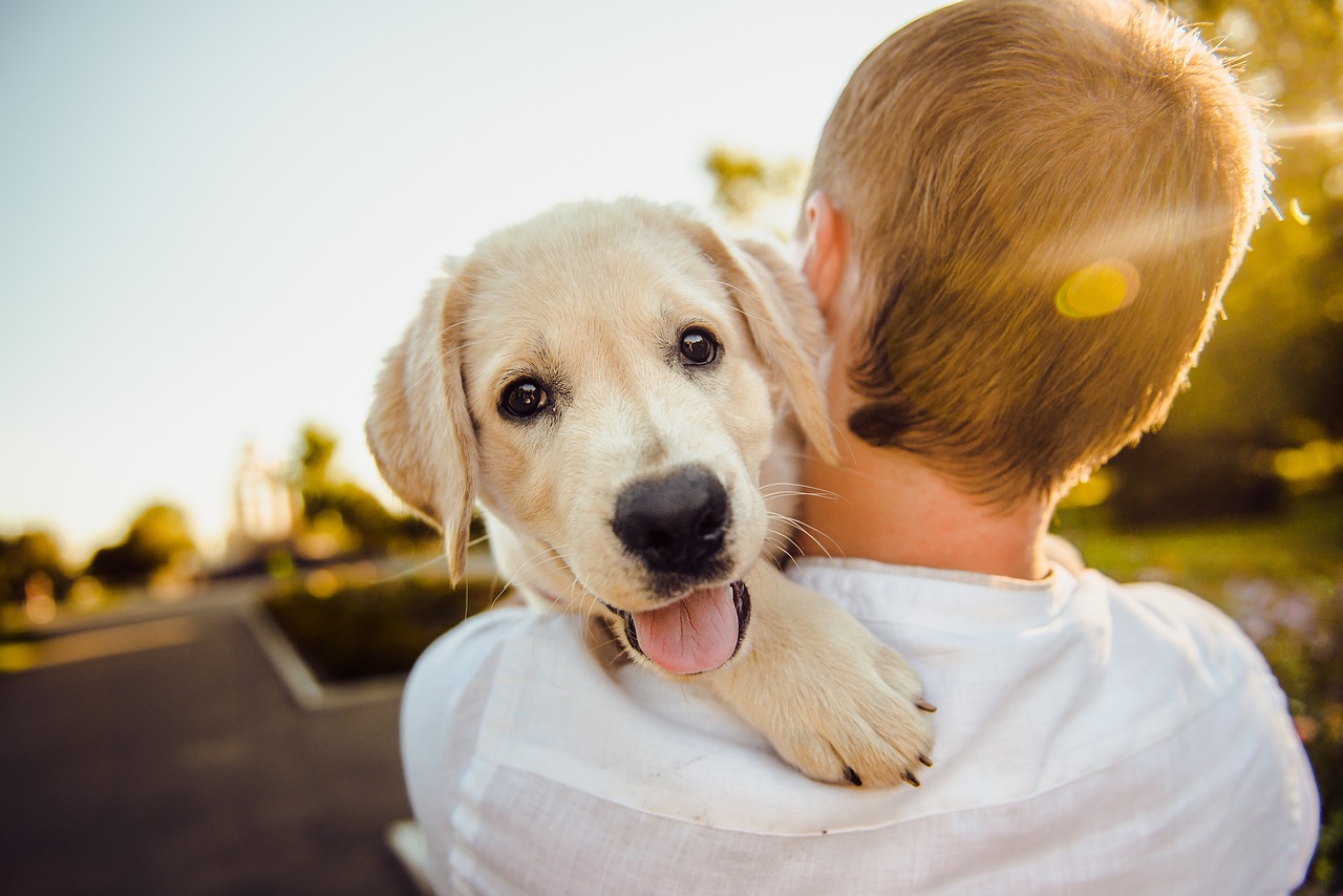 Psi zapach jako forma terapii w leczeniu chorób